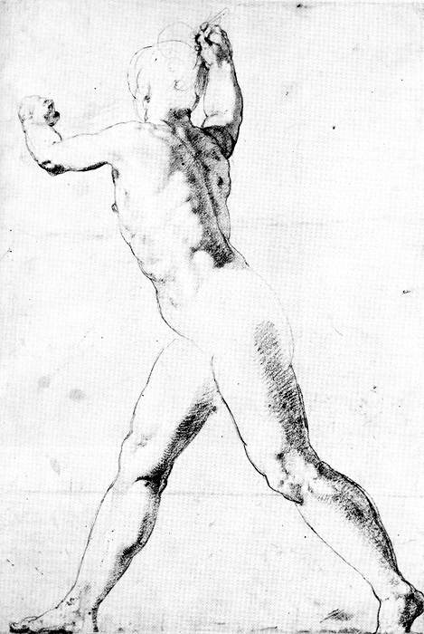 Study of a Male Nude